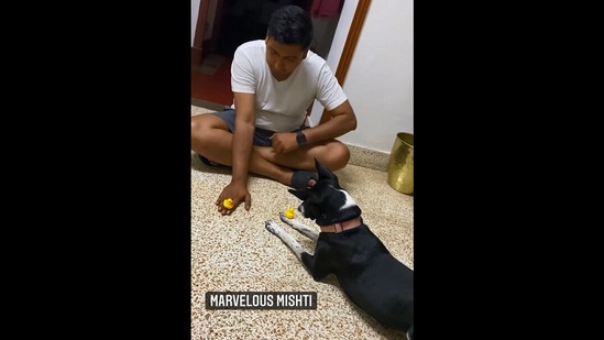 The image, taken from the Instagram video, shows the dog with its human. (Instagram/@tailspin.in)