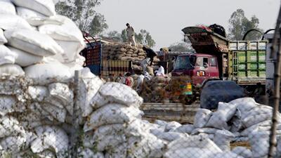 Wheat exports to EU will raise India’s export earnings and farm incomes. India has more than 100 million tonnes of foodgrains in state-held granaries. (AP PHOTO.)
