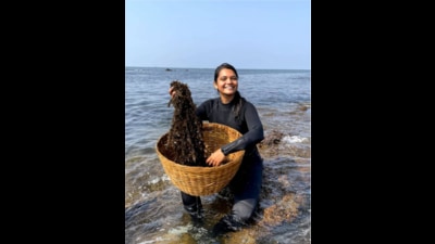 Marine conservationist Gabriella D’cruz is working to promote seaweed as a superfood, and as a climate-smart revenue churner for coastal communities. (Asmita Parelkar) Marine conservationist Gabriella D’cruz is working to promote seaweed as a superfood, and as a climate-smart revenue churner for coastal communities. (Asmita Parelkar)