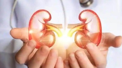 One third of children with kidney tumour have hereditary predisposition One third of children with kidney tumour have hereditary predisposition