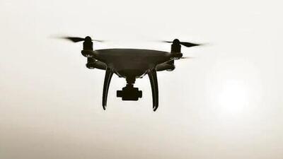 A humming sound of the suspected drone was heard at about 4.10 am by alert troops of BSF in the general area of Arnia. (Representational Image) A humming sound of the suspected drone was heard at about 4.10 am by alert troops of BSF in the general area of Arnia. (Representational Image)