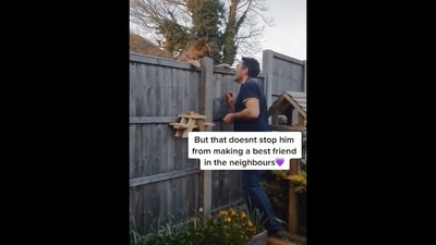The image, taken from the Instagram video, shows the man feeding his neighbour’s dog. (Screengrab)