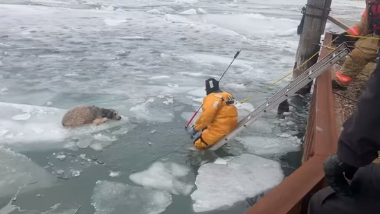 The image, taken from the rescue video, shows the dog and the rescuers.(Facebook/Wyandotte Police Department,Michigan)