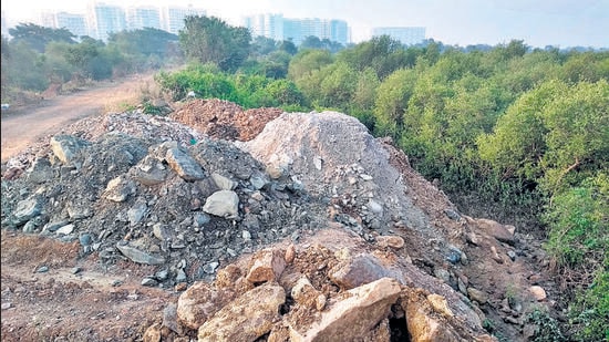 The project will lead to the felling of 25,438 trees, official documents show. Picture for representation