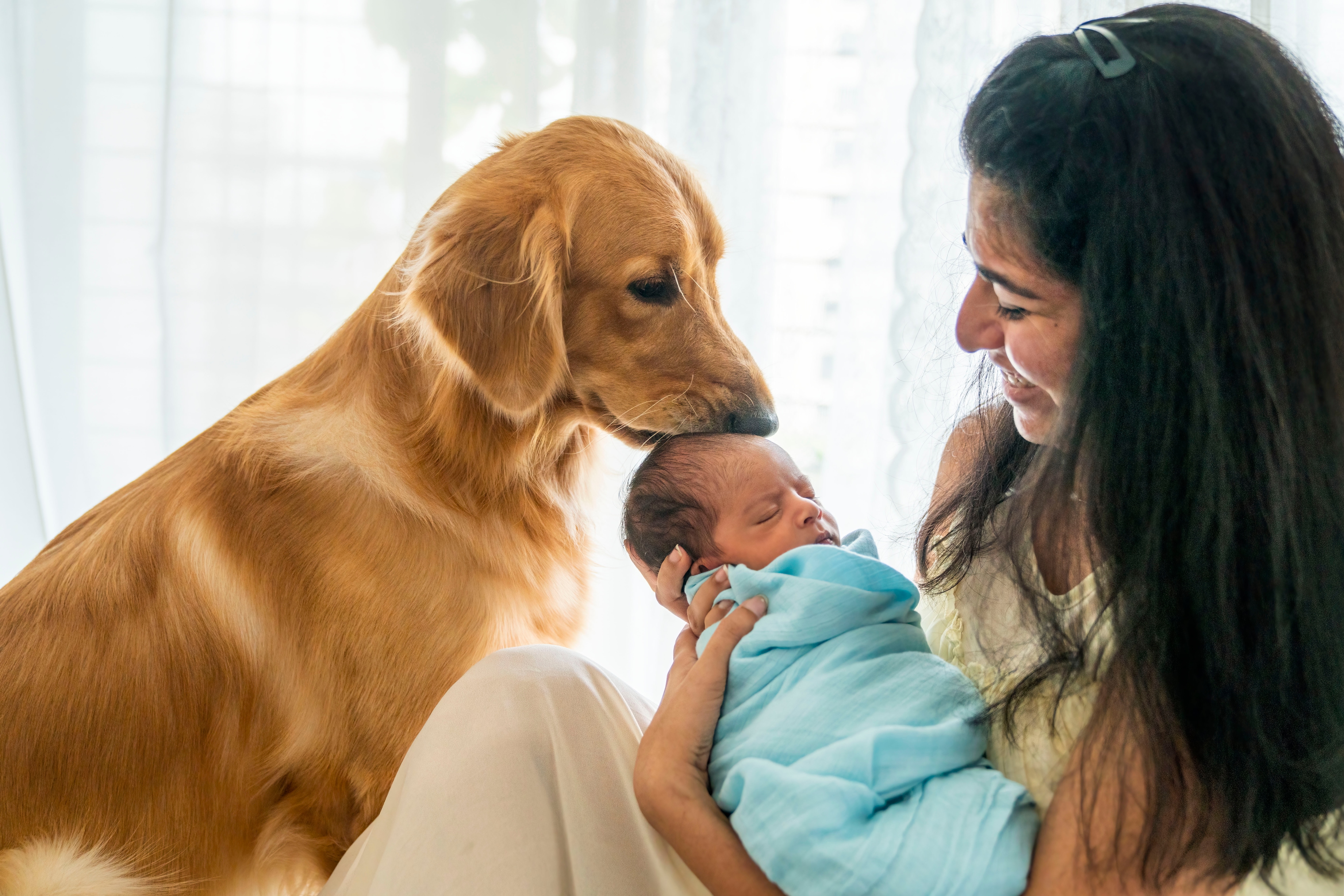 An adorable dog kissing a newborn baby. (Prathima Pingali ) An adorable dog kissing a newborn baby. (Prathima Pingali )