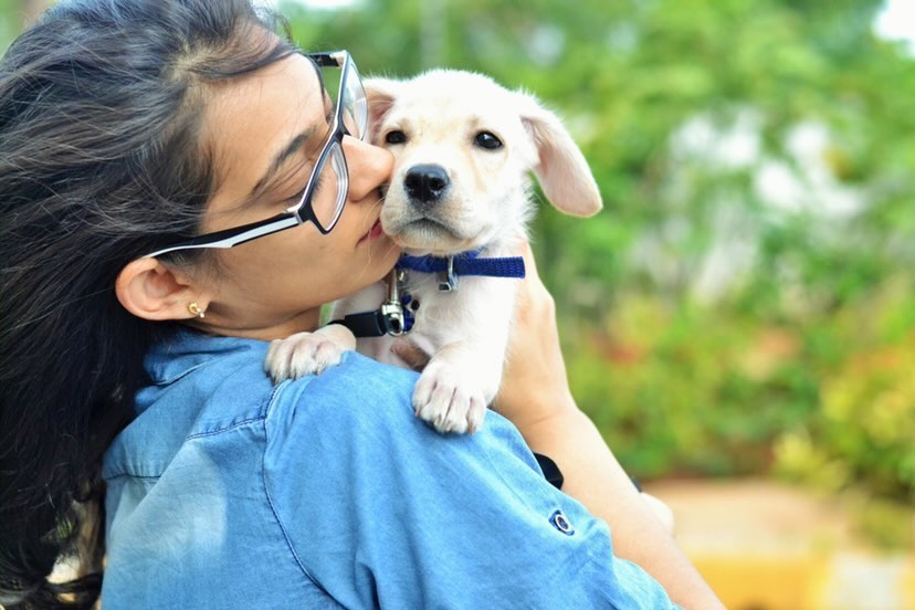 Pet photographer Prathima Pingali with her dog Pax who passed away a few years ago. (Prathima Pingali ) Pet photographer Prathima Pingali with her dog Pax who passed away a few years ago. (Prathima Pingali )