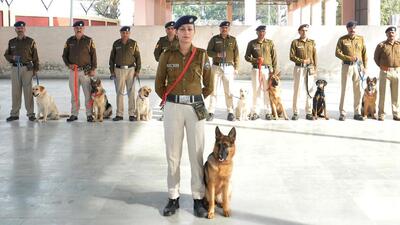 For the first time, a number of women constables, who have recently completed their basic training, have volunteered for ITBP’s animal transport (AT) cadre. Himachal Pradesh Police constable Priya Thakur with her dog ‘Softy’ at the ITBP’s Bhanu centre, near Chandigarh. She is the first woman cop from Himachal to become a K9 handler. (Photo: ITBP) For the first time, a number of women constables, who have recently completed their basic training, have volunteered for ITBP’s animal transport (AT) cadre. Himachal Pradesh Police constable Priya Thakur with her dog ‘Softy’ at the ITBP’s Bhanu centre, near Chandigarh. She is the first woman cop from Himachal to become a K9 handler. (Photo: ITBP)