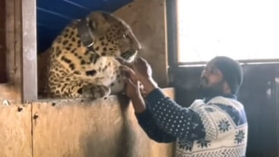 A screengrab from a video uploaded on the YouTube channel of Dr Girikumar Patil aka Jaguar Kumar