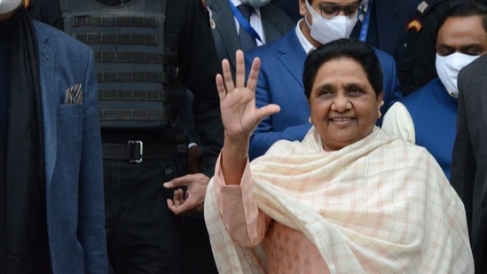 BSP chief Mayawati said that everyone's interest is protected only in her government (HT file)(HT_PRINT)