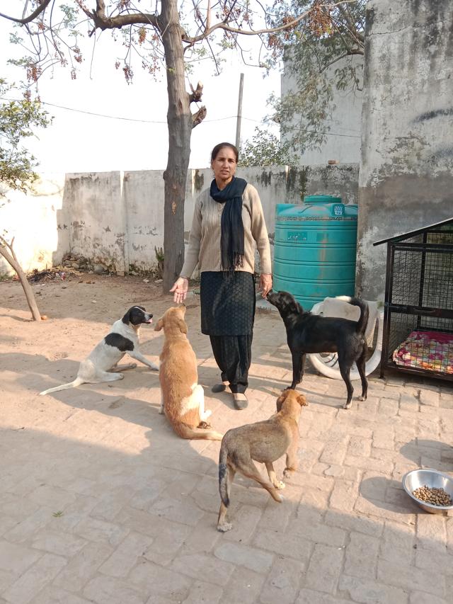 Reshamjit Kaur Dhaliwal, 55, founder-director of the NGO Protection and Care for Animals Reshamjit Kaur Dhaliwal, 55, founder-director of the NGO Protection and Care for Animals