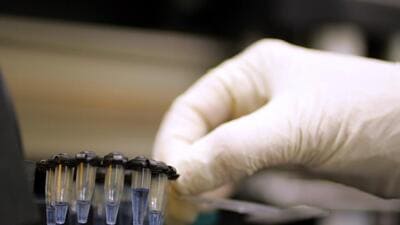 The committee will consist of officials from the health department, Food and Drug Administration (FDA), medical education, Maharashtra paramedical association and the representatives of these labs (HT File)