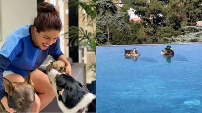 Priyanka Chopra shares videos of her new pets.