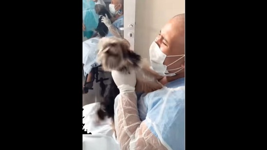 Screengrab from the Instagram video that shows the emotional reunion between a cancer patient and her doggo best friend.&nbsp; (instagram/@goodnewscorrespondent)