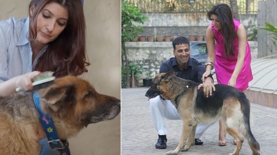 Akshay Kumar and Twinkle Khanna with their dog Cleo.&nbsp;