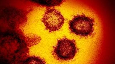 Chandigarh recorded seven cases, down from 13 on Tuesday. (AP)