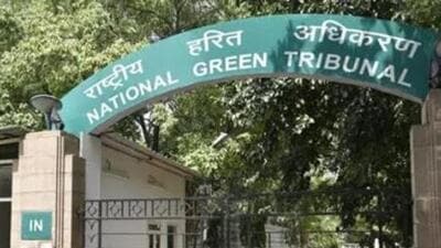 Authorities failed to check illegal mining, dumping of solid waste and discharge of untreated sewage into the Doodh Ganga river, says the NGT. (HT File Photo)