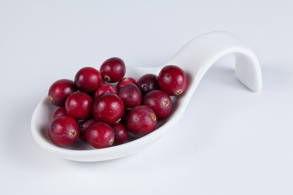 Cranberry(Pixabay)