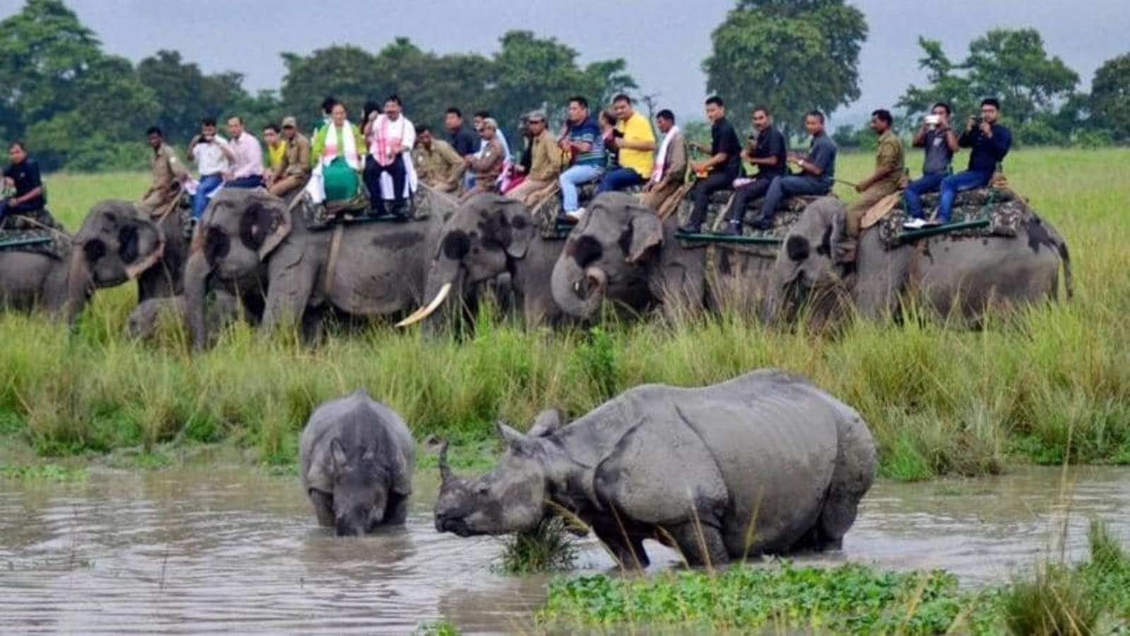 One-horned rhino census at Kaziranga National Park to start from March 26