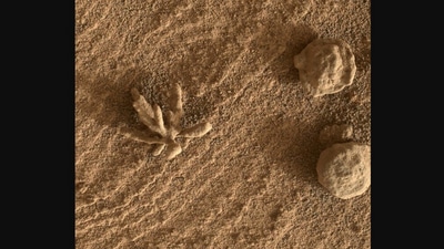 The image was posted by Nasa on Instagram. While sharing the picture, they captioned it as Martian “flower”. (Instagram/@nasa)