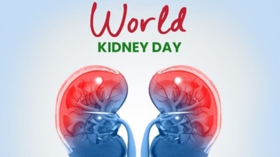 World Kidney Day 2022: Rising temperature can raise the risk of kidney stones.(Instagram)