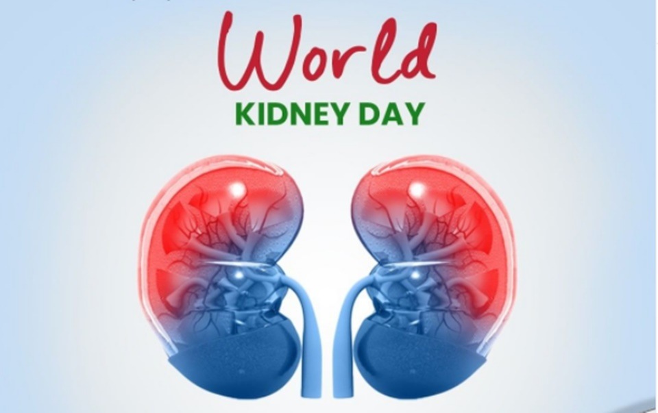 World Kidney Day 2022: Rising temperature can raise the risk of kidney stones. (Instagram)