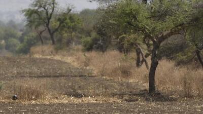 The farmer was part of a protest over acquisition of land for building a new capital city of Chhattisgarh . (HT File Photo/Representative image) The farmer was part of a protest over acquisition of land for building a new capital city of Chhattisgarh . (HT File Photo/Representative image)