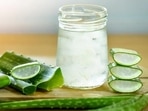 Aloe vera is loaded with vitamin, minerals, enzymes, saponins and amino acids.(Shutterstock) Aloe vera is loaded with vitamin, minerals, enzymes, saponins and amino acids.(Shutterstock)