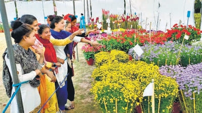 Visitors admiring the flowers on display on the first day of the 34th Spring Fest at the Town Park in Sector 5, Panchkula, on Saturday. (Sant Arora/HT)
