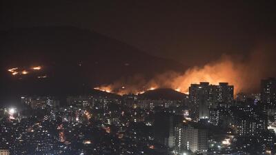 As per data collected by citizen volunteers, Aarey Colony saw at least 48 forest fire incidents between January and April 2021. (Satyabrata Tripathy/HT Photo)
