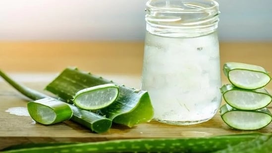 Aloe vera is loaded with vitamin, minerals, enzymes, saponins and amino acids.(Shutterstock)