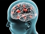 Study links shift work to poorer working memory, slower mental processing(Twitter/AusStemCell) Study links shift work to poorer working memory, slower mental processing(Twitter/AusStemCell)