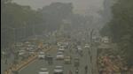 The National Green Tribunal (NGT) directed all the states and Union Territories in 2020 to create state environment plan based on the district environment plans. (File/Representational Image) The National Green Tribunal (NGT) directed all the states and Union Territories in 2020 to create state environment plan based on the district environment plans. (File/Representational Image)