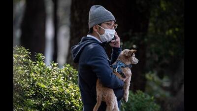 As many as 57 patients are still recovering from Covid in Chandigarh, 33 in Mohali and 24 in Panchkula. (AFP)