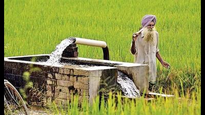 Water level is going down by nearly one metre every year in Punjab, and nearly 80% of the state’s area is becoming a red zone because of overuse of groundwater. Water level is going down by nearly one metre every year in Punjab, and nearly 80% of the state’s area is becoming a red zone because of overuse of groundwater.