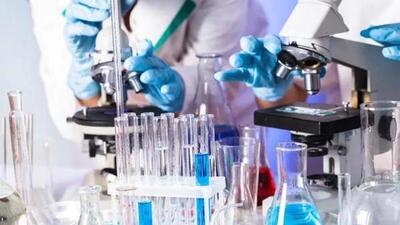 The Bihar government will set up science laboratories in 50 model schools in two phases at an estimated cost of nearly ₹8 crore. (Representational Image) The Bihar government will set up science laboratories in 50 model schools in two phases at an estimated cost of nearly ₹8 crore. (Representational Image)