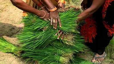 Government officials said the programme will unlock doors for the women. (AP) Government officials said the programme will unlock doors for the women. (AP)