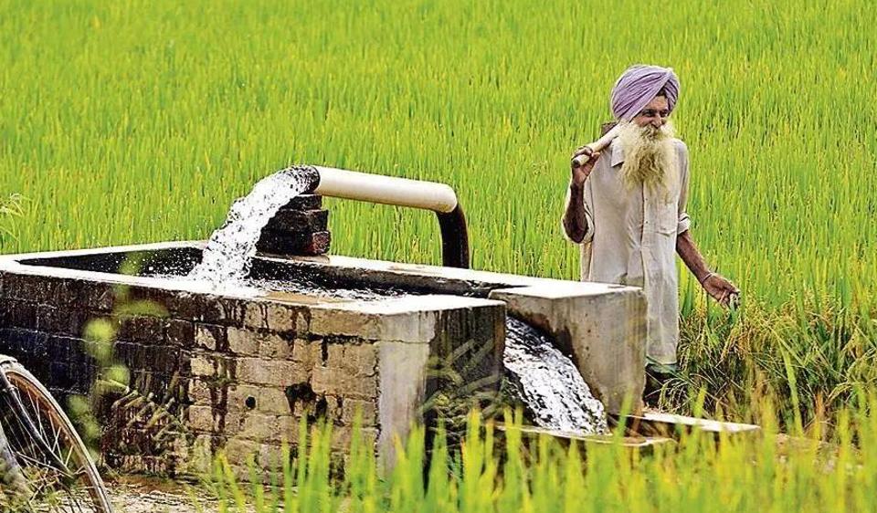 Nearly 80% of our freshwater resources are used for agriculture, about 8% in industries, and about 6% for domestic usage. (File Photo) Nearly 80% of our freshwater resources are used for agriculture, about 8% in industries, and about 6% for domestic usage. (File Photo)