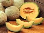 Muskmelons have a cooling effect and can help you deal with summer heat(Pixabay) Muskmelons have a cooling effect and can help you deal with summer heat(Pixabay)