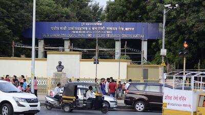 The Rajiv Gandhi Zoological Park and Wildlife Research Centre, located at Katraj, is gearing up to open its doors to the public after a gap of two years on March 20 (HT FILE PHOTO) The Rajiv Gandhi Zoological Park and Wildlife Research Centre, located at Katraj, is gearing up to open its doors to the public after a gap of two years on March 20 (HT FILE PHOTO)