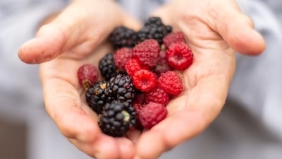 Berries: Strawberries, blackberries, raspberries, and cranberries are loaded with antioxidants. The anti-inflammatory properties in these berries offer much-needed protection from free radicals and help with healthier, stronger sperms. (Unsplash) Berries: Strawberries, blackberries, raspberries, and cranberries are loaded with antioxidants. The anti-inflammatory properties in these berries offer much-needed protection from free radicals and help with healthier, stronger sperms. (Unsplash)