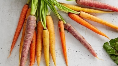 Carrots: It contains beta-carotene, an antioxidant needed for your sperm to prevent it from getting damaged by free radicals. (Unsplash) Carrots: It contains beta-carotene, an antioxidant needed for your sperm to prevent it from getting damaged by free radicals. (Unsplash)