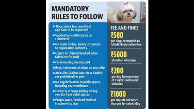 The issue of pet dogs was also taken up in Chandigarh MC General House meeting recently and residents’ welfare associations (RWA) have also raised the issue from time to time. (HT Photo) The issue of pet dogs was also taken up in Chandigarh MC General House meeting recently and residents’ welfare associations (RWA) have also raised the issue from time to time. (HT Photo)