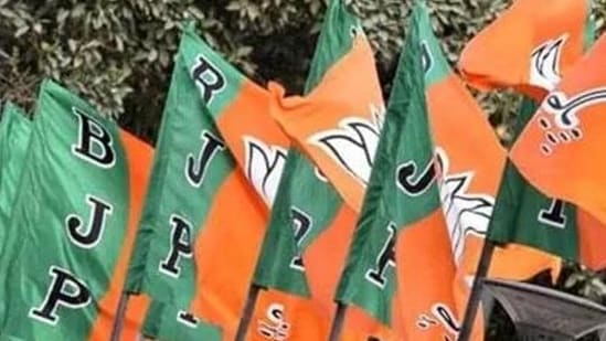 BJP flags (Image used only for representation)
