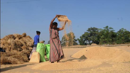 According to the report, families in India’s villages are increasingly having fewer children, a trend that will bring down the size of rural households to around the same as their urban counterparts (which are smaller) in days to come (HT File/Representative use)