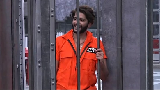 Kaaranvir Bohra is a contestant on Lock Upp.