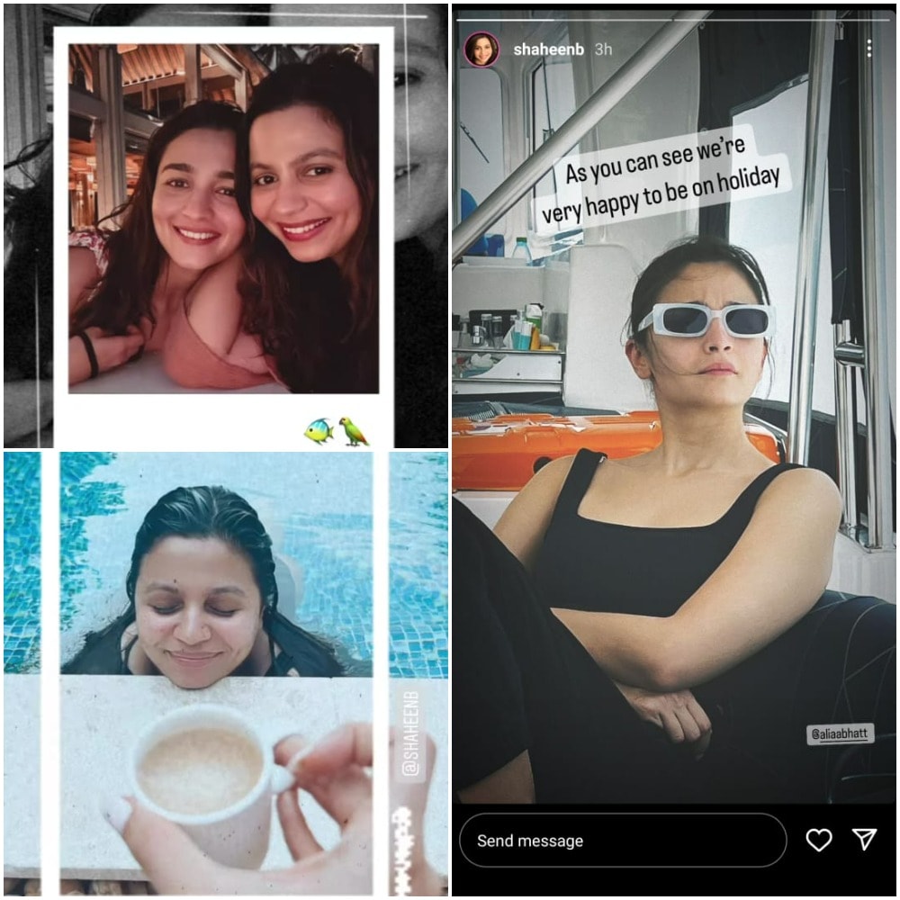 Alia Bhatt and Shaheen Bhatt's Instagram Stories.