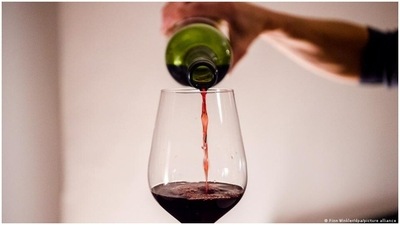 Fact check: How bad is a glass of wine at dinner, really? (Finn Winkler/dpa/picture alliance	)