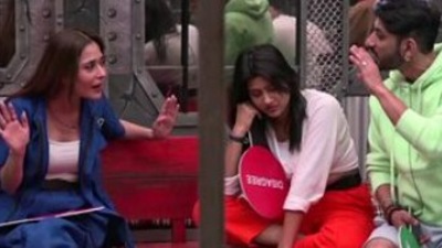 Lock Upp: Sara Khan and Ali Mercchant yell at each other.