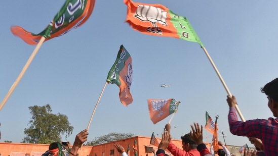 BJP supporters wave party flags in Uttar Pradesh.&nbsp;(PTI)