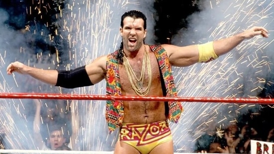 Scott Hall(WWE)